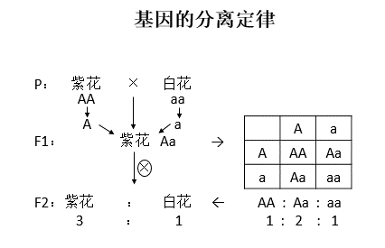 贵州教师招聘面试教案设计